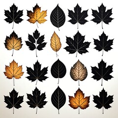 Fototapeta premium Autumn leaves, various shapes and colors, graphic design