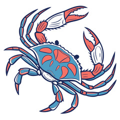 Obraz premium Artistic Blue and Coral Crab Illustration on White Background crustacean seafood