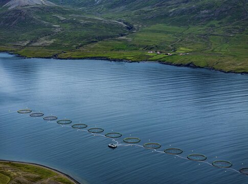 Mountains, fjord, coast, summer, aerial view, fish farm, salmon farm, farmed salmon, fishing, Faskrudsfj&ouml;rdur, East Fjords, Iceland
