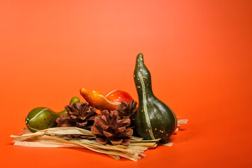 Autumn still life with gourd, pine cone, dried leaf, and vibrant orange background creating a warm seasonal decoration concept.