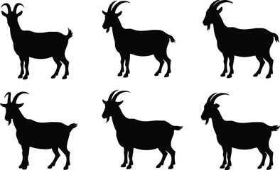 Goat silhouette vector set, domestic farm animal icon collection, black goat shape design, isolated livestock graphics, editable flat vector illustration