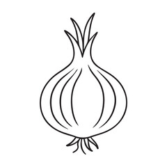 hand drawn onion with detailed layers and roots