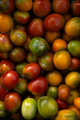 Top view of harvest tomatoes green and red food background