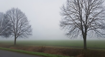 Fototapeta premium Misty Field with Two Bare Trees in Winter.