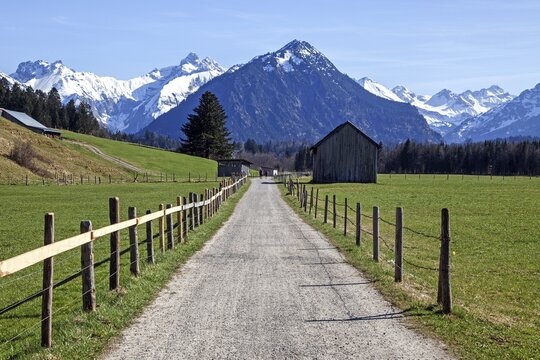 Path through meadows between Rubi and Oberstdorf, behind mountains of the Allg&auml;u Alps, Oberallg&auml;u, Allg&auml;u, Bavaria, Germany