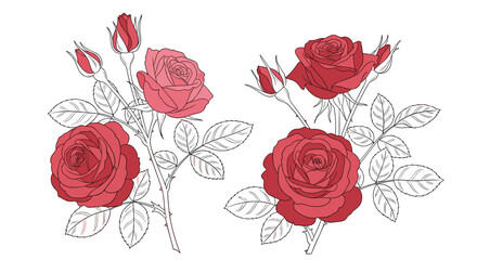 Beautiful red roses and buds with detailed outlines of leaves.
