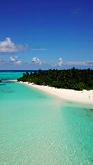 Fototapeta premium Tropical beach paradise from above