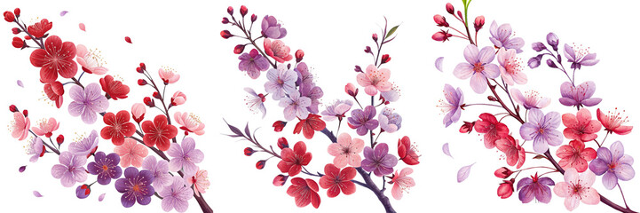  Set of Branch cluster of red and purple cherry blossoms gracefully cascades isolated on a transparent background