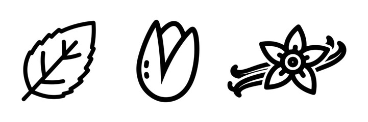 Simple Line Art Icons of Mint Leaf, Pistachio Nut, and Vanilla Flower with Pods