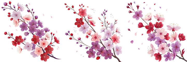  Set of Branch cluster of red and purple cherry blossoms gracefully cascades isolated on a transparent background (2)