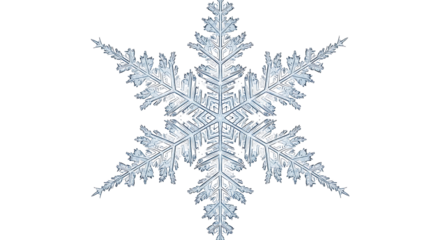 Detailed close-up of a remarkable snowflake, showcasing intricate ice crystal formations against a stark black backdrop.