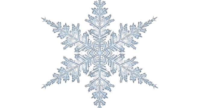 Detailed close-up of a remarkable snowflake, showcasing intricate ice crystal formations against a stark black backdrop.