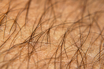 human male skin hair detail macro