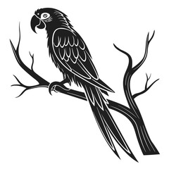 vector illustration of a bird