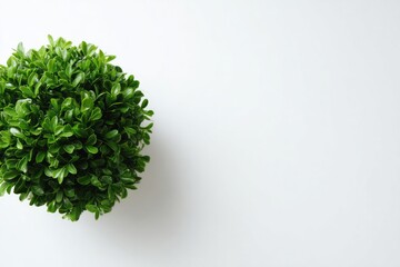 an empty copy space wallpaper or background