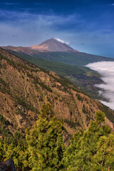 Fototapeta premium Teide above the clouds
