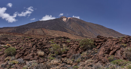 Cracked lava field and Teide