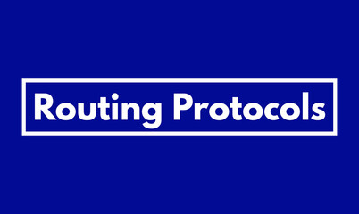 Routing Protocols