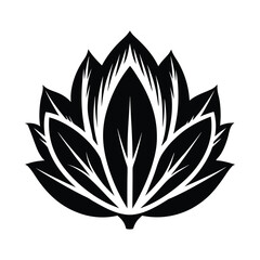 Wild chicory flowers growing in a sunny meadow with delicate petals