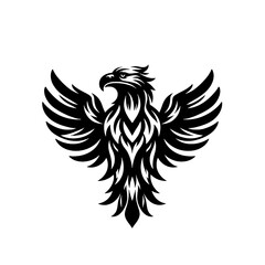 Obraz premium eagle with wings