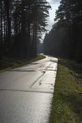 Winding road through the forest in Poland, Masuria, in the evening sun