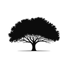 Fototapeta premium Majestic silhouette of a large oak tree with spreading branches and lush green foliage