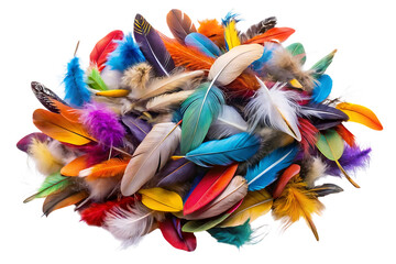 Colorful Mixed Bird Feathers Scattered