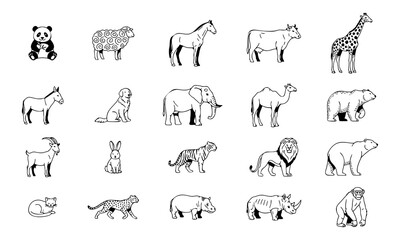 Fototapeta premium set of wild animals