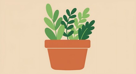 Vibrant green houseplants in a terracotta pot