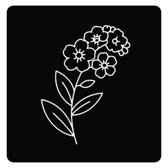 Elegant White Forget Me Not Flower Outline on Black Background Delicate Floral Design for Creative Projects