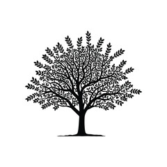 Obraz premium Silhouette of a flourishing tree with intricate branches and abundant leaves in full bloom