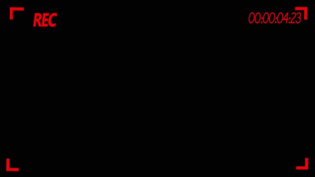 Recording sign, REC frame icon animation. Video camera recording screen, rec text camera recording icon blink animation.