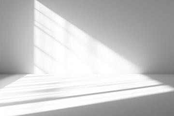 Obraz premium Realistic Window Shadow on Transparent Background 