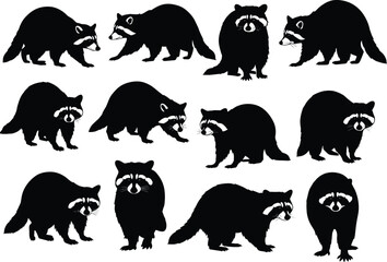 Raccoon silhouettes set, wild animal vector illustration, woodland wildlife design, raccoon poses collection for forest, nature, camping artwork