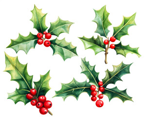Fototapeta premium Hand-painted watercolor holly branches with red berries isolated on transparent background, perfect for Christmas cards, packaging, scrapbooking, and festive decoration design. Generative AI.