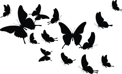 Butterflies in flight silhouette, black insect group scattered motion, flying butterfly vector design, decorative wings artwork, nature insect illustration