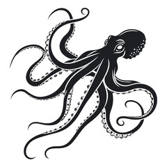 black and white octopus