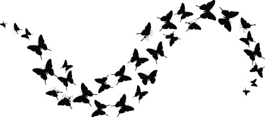 Butterfly silhouettes flying in wave curve formation, black insect vector illustration, isolated nature design of wild butterflies in motion, decorative element