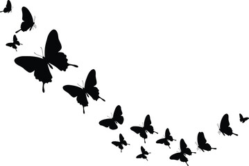 Butterfly silhouettes flying in curved formation, black insect vector illustration, isolated nature design of butterflies in motion, decorative wildlife element