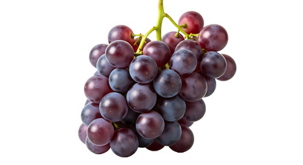 Fototapeta premium Close-up of a bunch of plump, deep purple grapes against a black background, showcasing their vibrant hues and glossy texture.