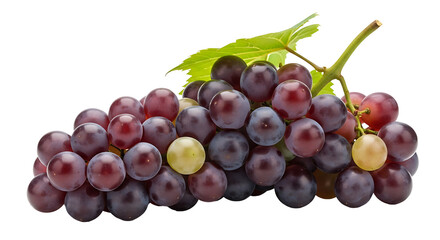 Fototapeta premium Close-up of a bunch of vibrant red and green grapes, showcasing their rich color and glossy texture against a deep black background.