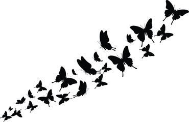 Butterfly silhouettes flying in diagonal formation, black insect vector illustration, isolated nature design of butterflies in motion, decorative wildlife element