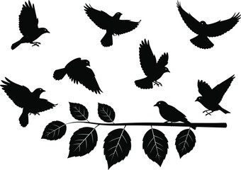 Bird silhouettes on branch with leaves, flying birds isolated black shapes, nature vector illustration of wild birds in flight, design element