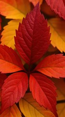 close-up of red and yellow leaves mobile wallpaper