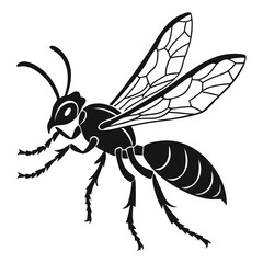 vector of vee