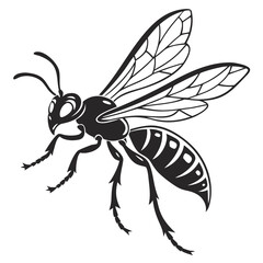 vector illustration of a bee