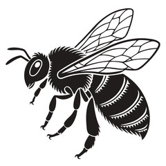 vector illustration of a bee