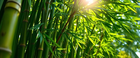 Close Lush Green Bamboo Stalks