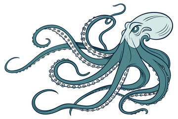 hand drawn vector illustration of an octopus on white