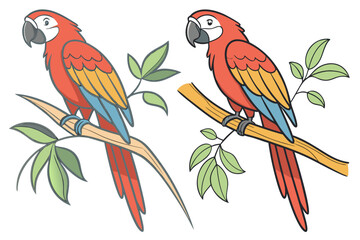 two parrots on a branch